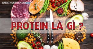 protein la gi vai tro do voi co bap va cuoc song 600x314 1