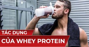 tac dung cua whey protein voi ng tap the hinh 600x314 1