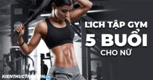 Tham khảo ngay lịch tập gym cho nữ 5 ngày giảm cân giảm mỡ có hình ảnh.