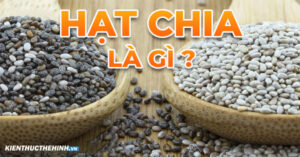 hat chia thanh phan dunh duong loi ich suc khoe 600X314