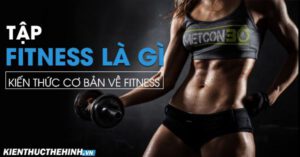 Tập Fitness là gì? Kiến thức cơ bản về Fitness là nội dung của bài viết này. Mời các bạn cùng tham khảo nhé!