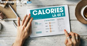 Calories là gì ? Bổ sung dinh dưỡng khoa học mà bạn cần biết trước khi bắt đầu chế độ ăn uống lành mạnh.