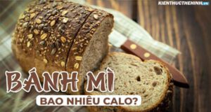 Nếu bạn đang băn khoăn bánh mì bao nhiêu calo và ăn bánh mì có mập không thì hãy cùng Kiến Thức Thể Hình tham khảo giải đáp qua bài viết sau đây nhé...