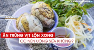 Tìm hiểu sự thật về ăn trứng vịt lộn xong có nên uống sữa không qua nội dung bài viết dưới đây của Kiến Thức Thể Hình nhé!