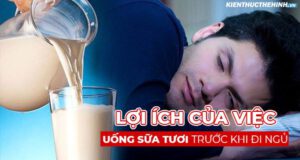loi ich cua viec uong sua tuoi truoc khi di ngu 6