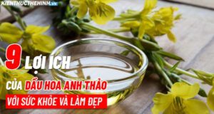 tim hieu 9 loi ich cua dau hoa anh thao 10
