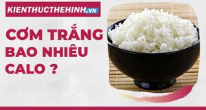 Cơm trắng chứa bao nhiêu calo? Lợi ích của ăn cơm trắng là gì? Mời các bạn tìm hiểu nội dung bài viết dưới đây nhé.Cơm trắng chứa bao nhiêu calo? Lợi ích của ăn cơm trắng là gì? Mời các bạn tìm hiểu nội dung bài viết dưới đây nhé.