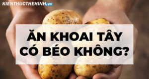 Ăn khoai tây có béo không? Cách ăn khoai tây cho người giảm cân như thế nào ? Mời các bạn tham khảo nội dung bài viết dưới đây nhé.
