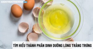 Thành phần dinh dưỡng lòng trắng trứng có những gì? Gymer có nên bổ sung lòng trắng trứng? Mời các bạn tham khảo nội dung bài viết dưới đây nhé!