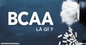 BCAA là sản phẩm bổ sung quen thuộc với dân thể hình. Vậy BCAA là gì? Bổ sung BCAA mang lại những lợi ích gì? Mời bạn đọc tìm hiểu nội dung bài viết dưới đây...
