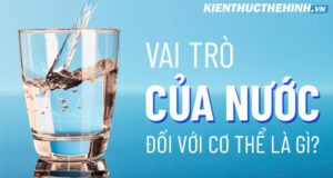 Uống nước nhiều có mập không? Kiến Thức Thể Hình sẽ giúp bạn trả lời các thắc mắc này cũng như giúp bạn biết được cách uống nước phù hợp với cơ thể....
