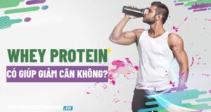 Whey protein là một trong những sản phẩm bổ sung protein, giúp phát triển cơ bắp cho người tập gym. Vậy ngoài phát triển cơ bắp thì Whey Protein có giúp giảm...