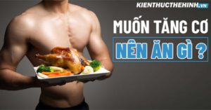 Tập gym- thể hình muốn tăng cơ nên ăn gì ? Câu trả lời sẽ có trong bài viết dưới đây cùng với tổng hợp 27+ thực phẩm giúp tăng cơ giảm mỡ...