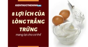 Bạn đang cần có một chế dộ ăn lành mạnh để phát triển cơ bắp? Vậy hãy tham khảo ngay 8 Lợi ích mang lại cho cơ thể chỉ có ở lòng trắng trứng...