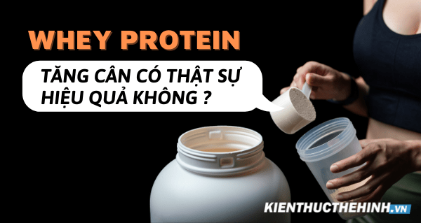 Whey protein tăng cân có hiệu quả không? Cách tăng cân hiệu quả cho người gầy như thế nào? Kiến Thức Thể Hình mời các bạn tham khảo nội dung bài viết....