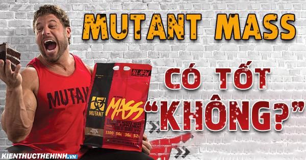 Đánh giá Mutant Mass có tốt không? Người gầy có nên sử dụng Mutant Mass ? Tham khảo ngay chi tiết nội dung bài viết dưới đây.....