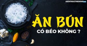 Ăn bún có béo không? Mời các bạn tìm hiểu qua bài viết dưới đây để biết được ăn bún có béo không và hàm lượng calo trong các món ăn làm từ bún...