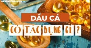 Dầu cá có tác dụng gì với người tập gym? Có nên bổ sung dầu cá vào chế độ ăn người tập gym không? để giải đáp thắc mắc này mời các bạn tham khảo bài viết...