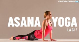 Vậy Asana Yoga là gì? Nó biểu hiện như thế nào? Hãy cùng chúng tôi tìm hiểu các vấn đề trên thông qua bài viết sau.
