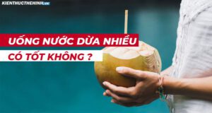 Tuy nhiên, có nhiều người thắc mắc: Uống nước dừa nhiều có tốt không? Bài viết dưới đây sẽ giúp các bạn giải đáp câu hỏi này