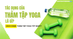 Có thể thấy hiện nay rất nhiều phòng tập Yoga trang bị thảm tập cho học viên, nhưng hầu hết đều có nguồn gốc xuất xứ không rõ ràng. Chúng thường là những...