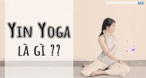 Vậy Yin Yoga thực chất là gì? Xin mời các bạn hãy cùng tham khảo những thông tin chi tiết về loại hình Yoga này qua bài viết dưới đây