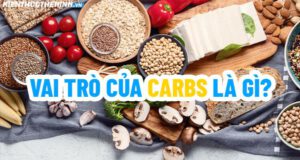 Vai trò của Carbs là gì? Chọn nguồn carbohydrate tốt cho cơ thể thế nào? Mời các bạn cùng tìm hiểu để biết được tiêu hóa và chuyển hóa carbohydrate trong cơ thể...