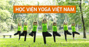 Mục đích của Học viện chủ yếu là giúp mọi người có cuộc sống lành mạnh, bình an và hạnh phúc hơn. Bài viết dưới đây sẽ giúp các bạn có thêm hiểu biết về Học viện Yoga Việt Nam.