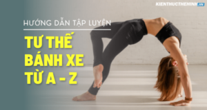Trong Yoga, tư thế bánh xe là một tư thế đảo ngược tương đối khó đối với những người chưa từng thực hành nó. Bài viết dưới đây sẽ giúp bạn học được các kỹ thuật của tư thế này