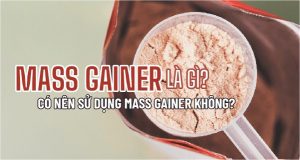 Nhiều người vẫn chưa biết Mass Gainer là gì? Bổ sung có tăng cân nhanh, tốt cho sức khỏe? Bài viết này Kienthucthehinhvn chia sẻ thông tin về Mass Gainer...