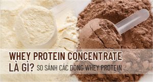 Whey Protein bổ sung protein nuôi dưỡng cơ bắp bao gồm: Whey Concentrate, Whey Isolate... Cùng Kienthucthehinh.vn giải đáp Whey Protein Concentrate là gì và...