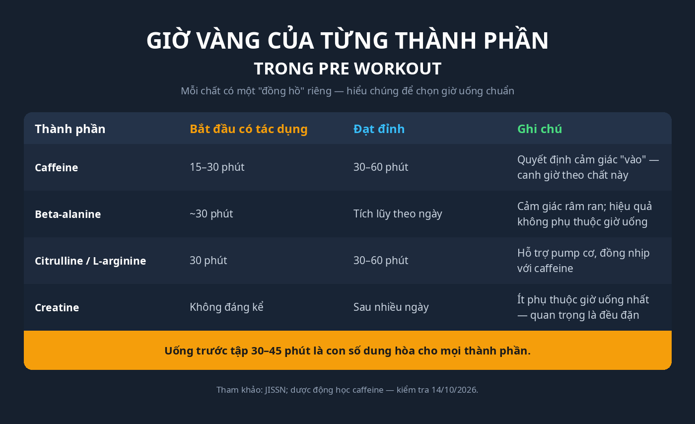 Bảng giờ vàng của từng thành phần trong pre workout: caffeine đạt đỉnh 30-60 phút, beta-alanine hiệu quả tích lũy, citrulline 30-60 phút, creatine không phụ thuộc giờ uống