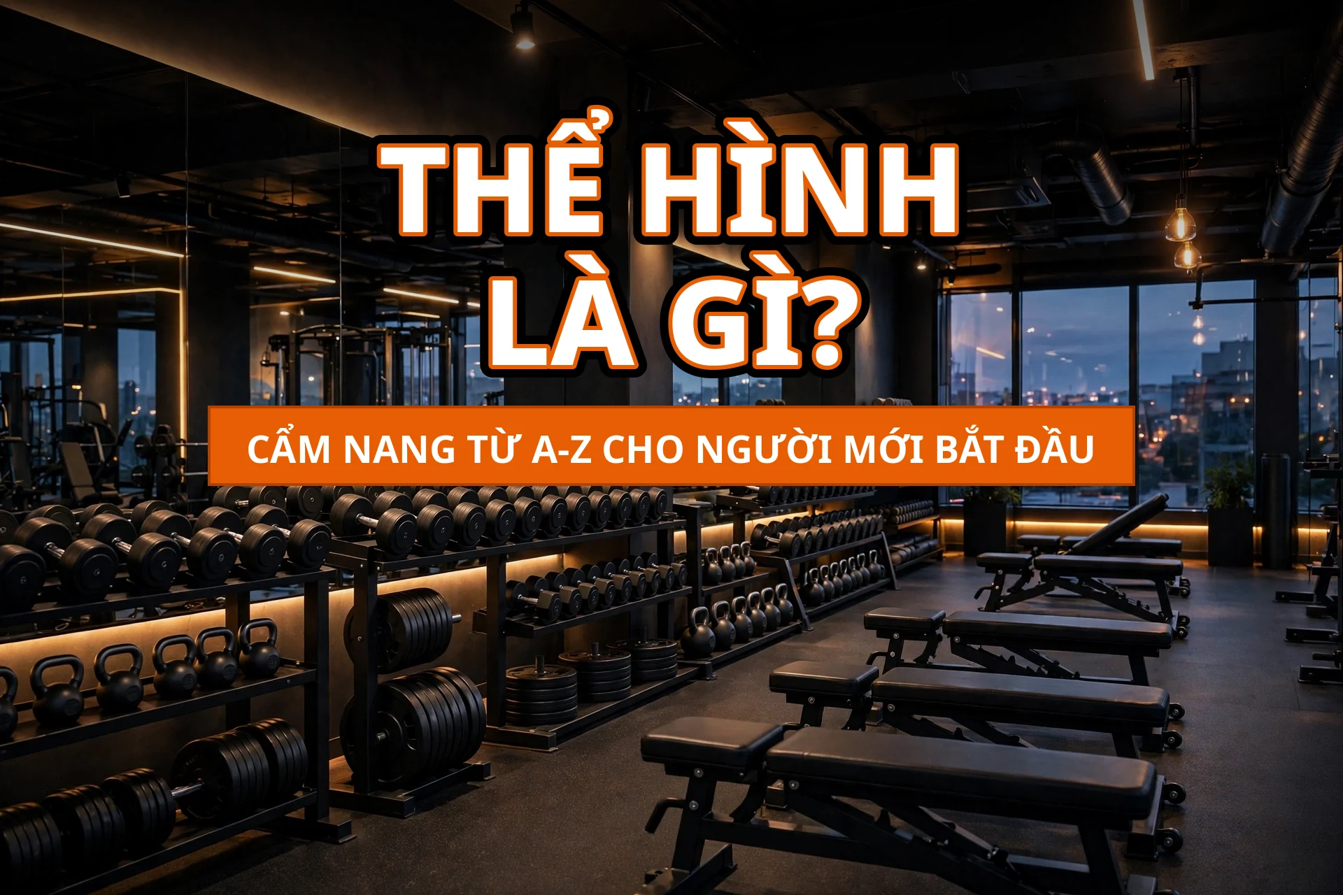 the hinh la gi cover 1920x1280 1
